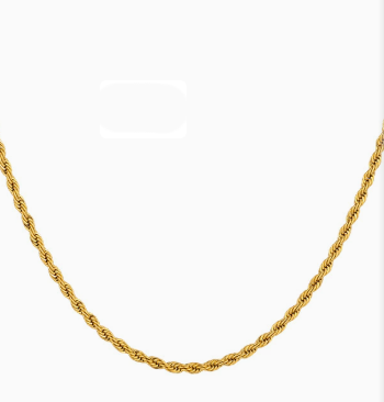 The Torsade Chain Necklace